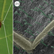 Illustration for article titled Theres an All-Natural Bed Bug Cure That Actually Works